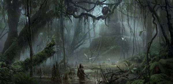 Northern Swamp.jpg